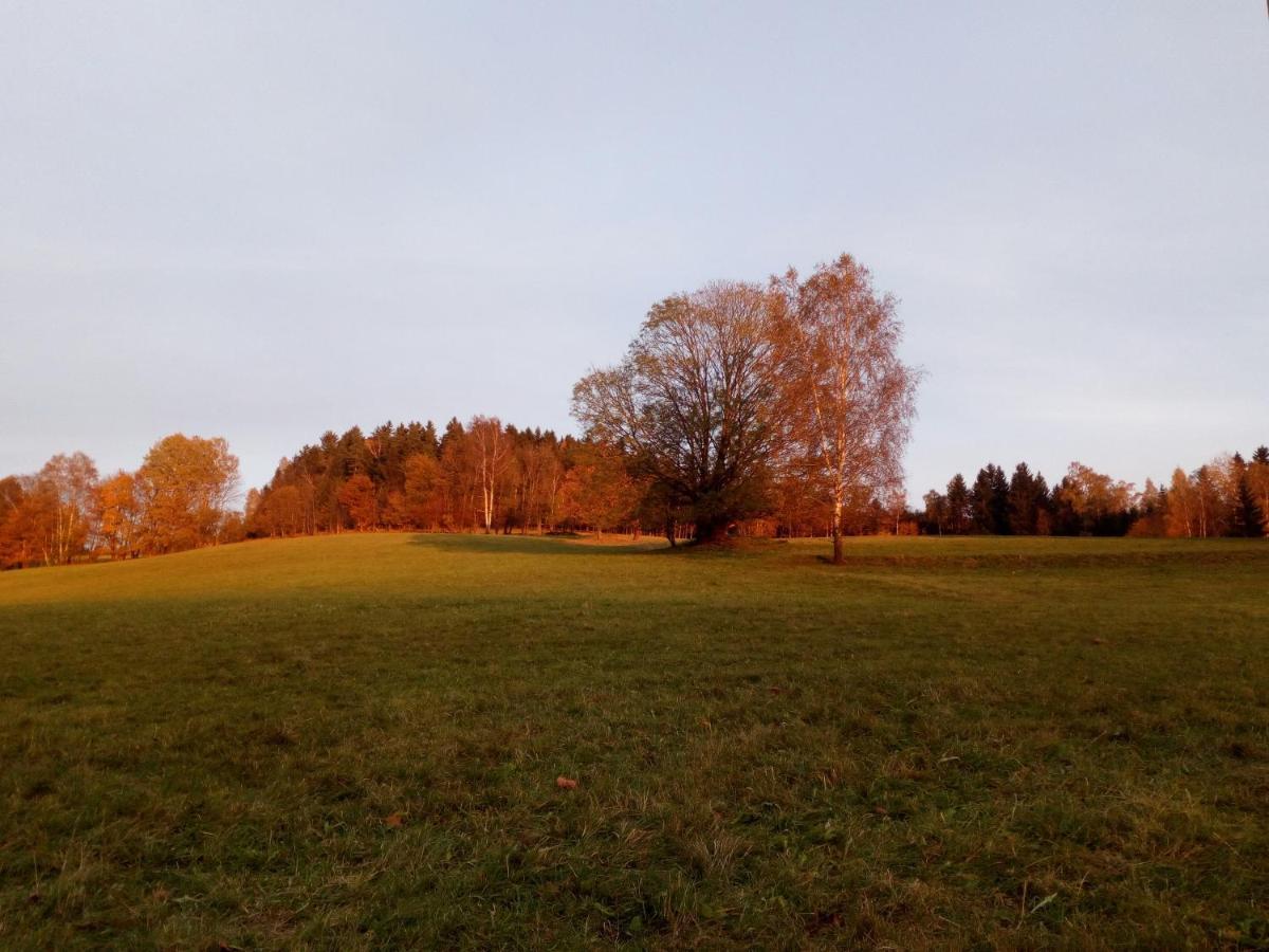 Ferienwohnung Koernerberg Клингенталь Экстерьер фото