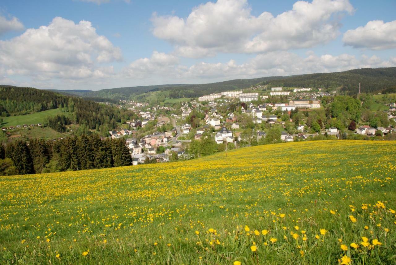 Ferienwohnung Koernerberg Клингенталь Экстерьер фото
